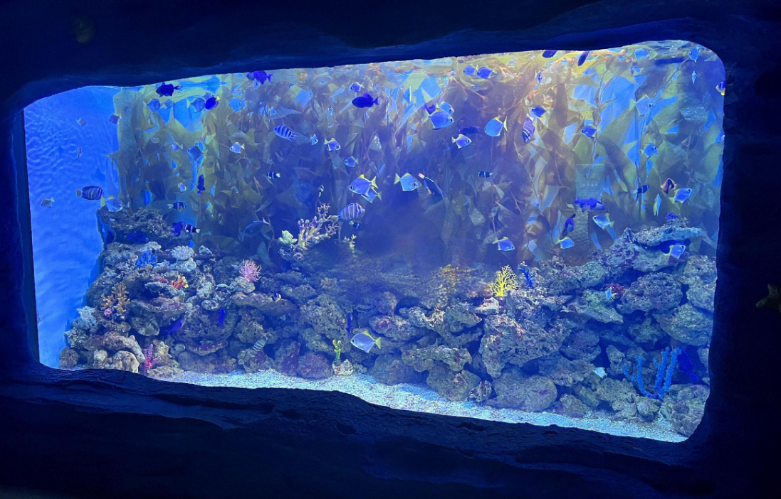 Ciężki grubo odlewany arkusz akrylowy Duży przezroczysty panel do akwarium Oceanarium Tunel Podwodne okna widokowe