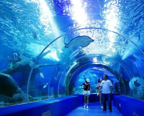 Ciężki grubo odlewany arkusz akrylowy Duży przezroczysty panel do akwarium Oceanarium Tunel Podwodne okna widokowe